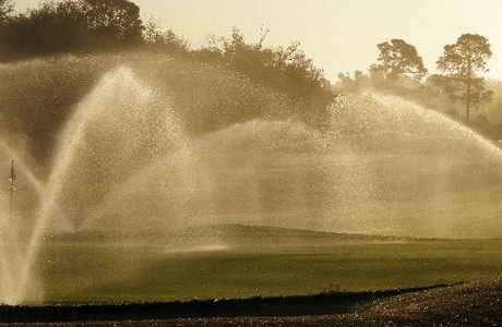 Diamondback Golf Club