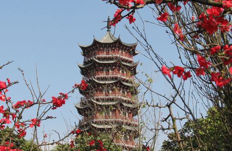 Tanhua Temple Park