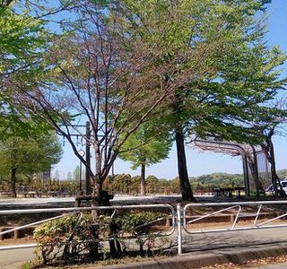 Hachioji Kamiyugi Park - Ballpark