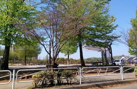 Hachioji Kamiyugi Park - Ballpark