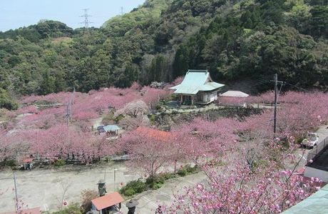 Isshinji Temple