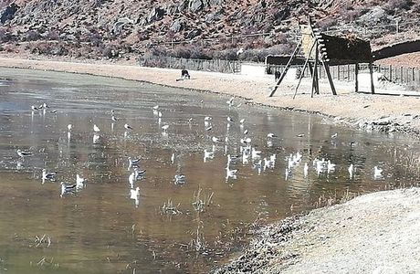 Napa Hai Nature Reserve
