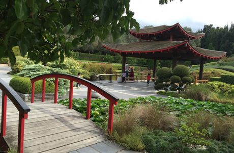 Arashizaka Pocket Park Garden