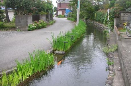 Shimbori Canal