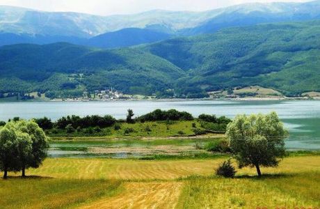 Ladik Golu