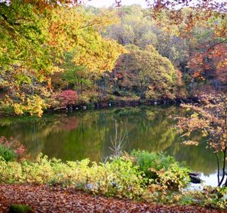 Sennin Pond