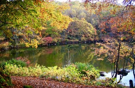 Sennin Pond