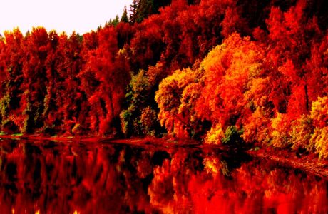Mitani Fall