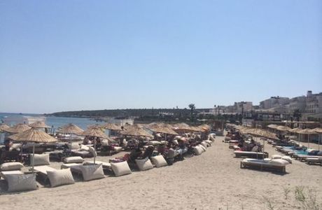 Mocca Beach