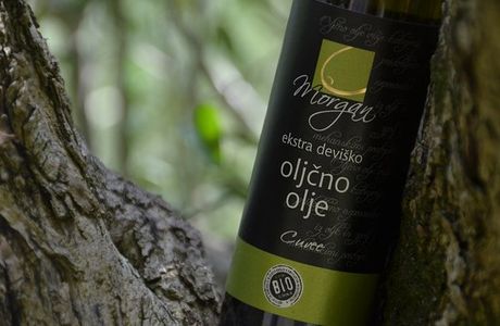 Olive Oil Morgan