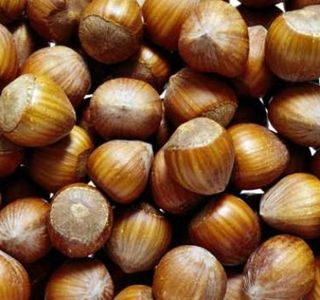 Bonatti Carta Dolci