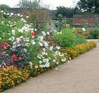 Guy's Cliffe Walled Garden