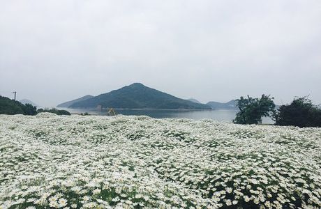 Flower Park Urashima
