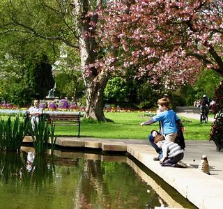 Town Gardens