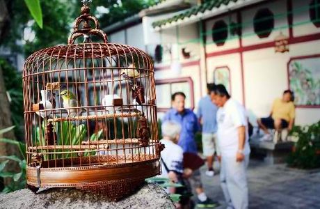 Bird Garden Yuen Po Street