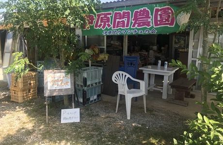 Ibaruma Farm Fruits Chokubaijo