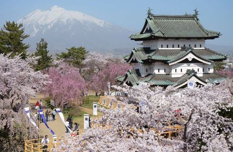 Takumikan