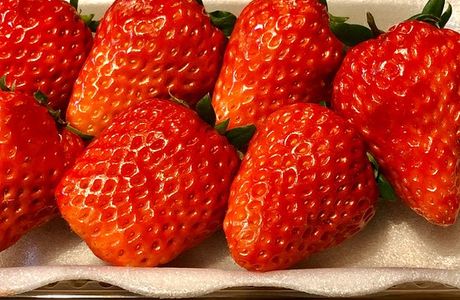 Haruoka Strawberry Farm