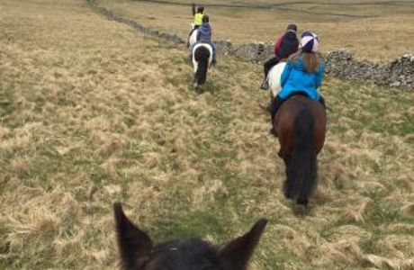 Kilnsey Trekking & Riding Centre