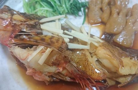 Osakana Tengoku