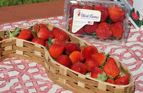 Shirado Strawberry Farm