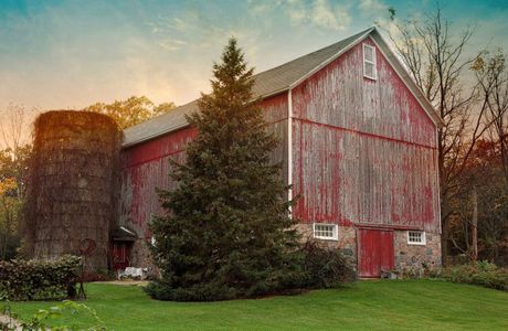 Broadlees Farm