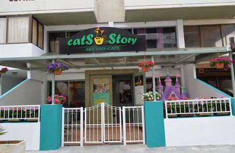 Cats Story