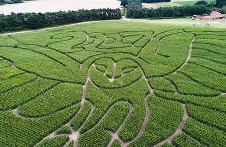 Hundred River Maize Maze