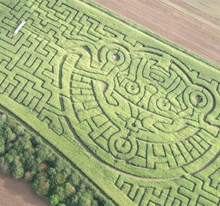 Braydon Maize Maze