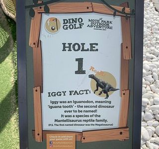 Mote Park Outdoor Adventure