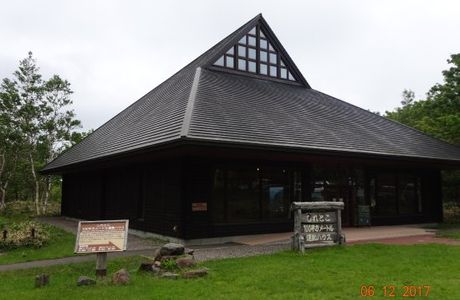 Shiretoko 100 Square-Meter Trust Forest