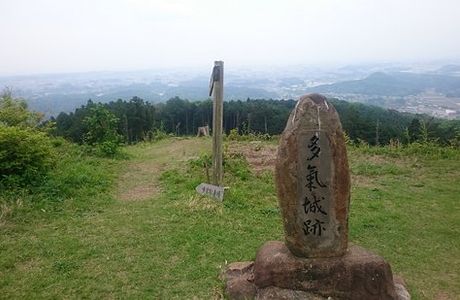 Tage Castle Ruins