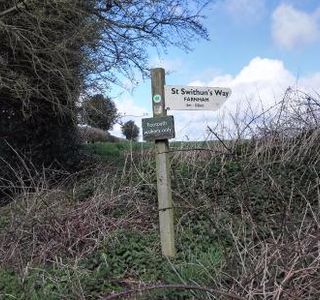 St. Swithun's Walk