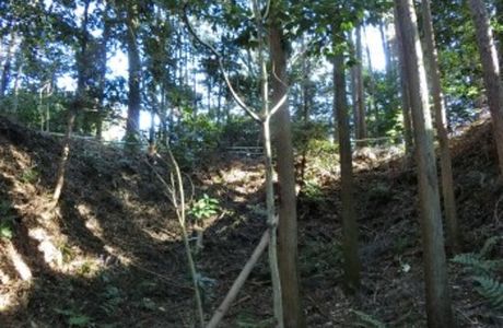 The Site of Noda Castle