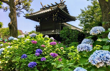 Hakusan Shrine