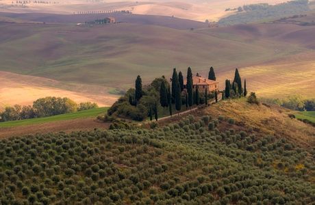Orcia Paint Gallery