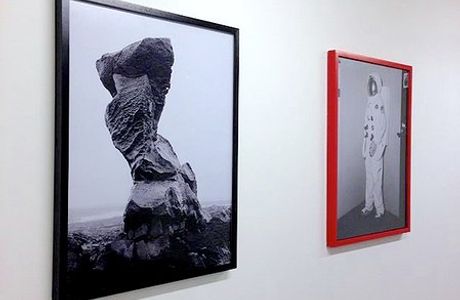 White Moose Art Gallery