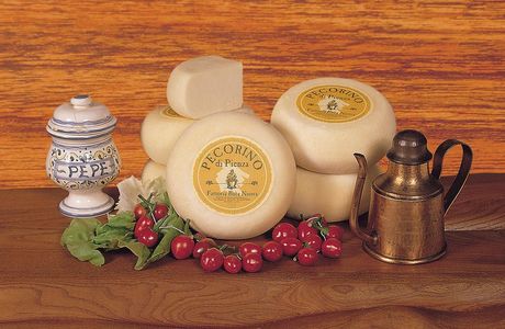 Fattoria Buca Nuova
