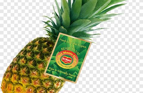 Ananas 730