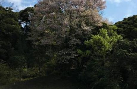 Taiheiyo Club Ichihara Course