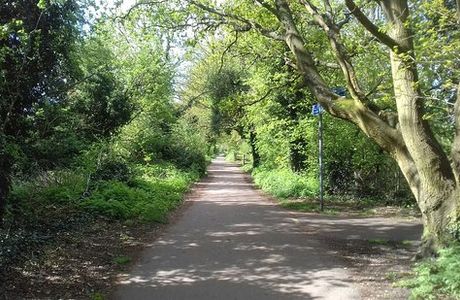 River Ver Trail