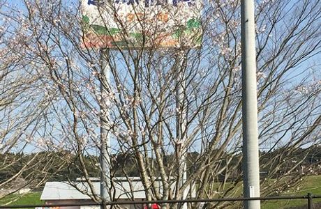 Michi-no-Eki Takaoka