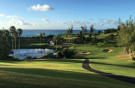 Turtle Ace Golf Club