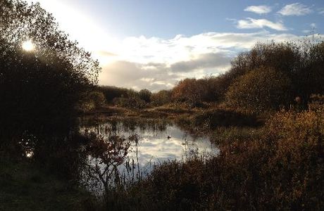 Kenfig National Nature Reserve