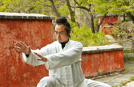 Hou Shi Wu