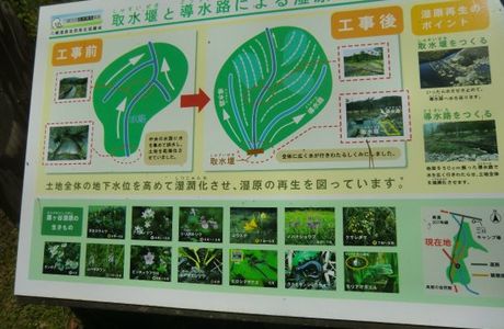 Ozekidani Wetland