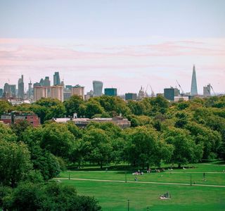 Primrose Hill