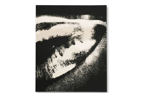 Toyake Moriyama