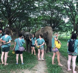 Maeklang Elephant Conservation Community