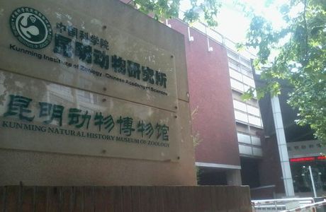 Kunming Animal Museum